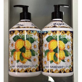 Home & Body Company (2-Pack) HOME & BODY ~ MEYER LEMON Cleansing HAND SOAP Wash ~ MADE IN USA