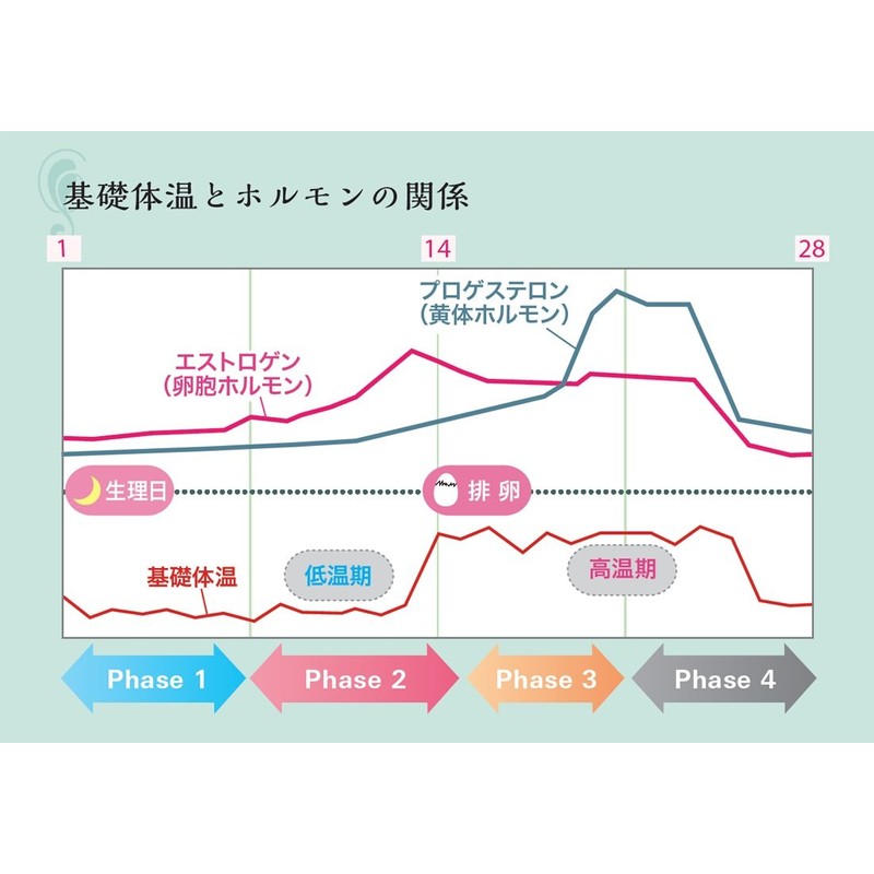 Ladie's Electric Thermometer [Smartphone App Compatible - LunaLuna, Beauty Navi,