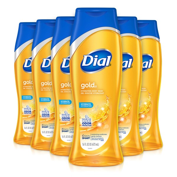 Dial Body Wash, Gold, 16 Ounce (Pack of 6)