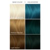 ARCTIC FOX CRUELTY FREE 100% VEGAN SEMI PERMANENT HAIR COLOUR