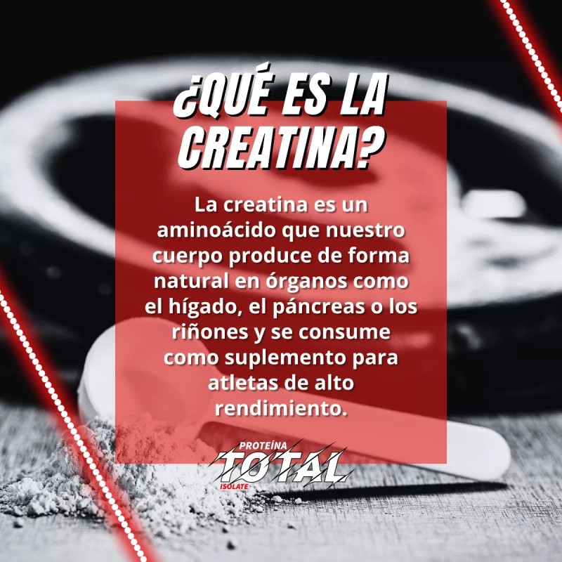 Maxi Creatina Monohidratada Total 500 G Varios Sabores