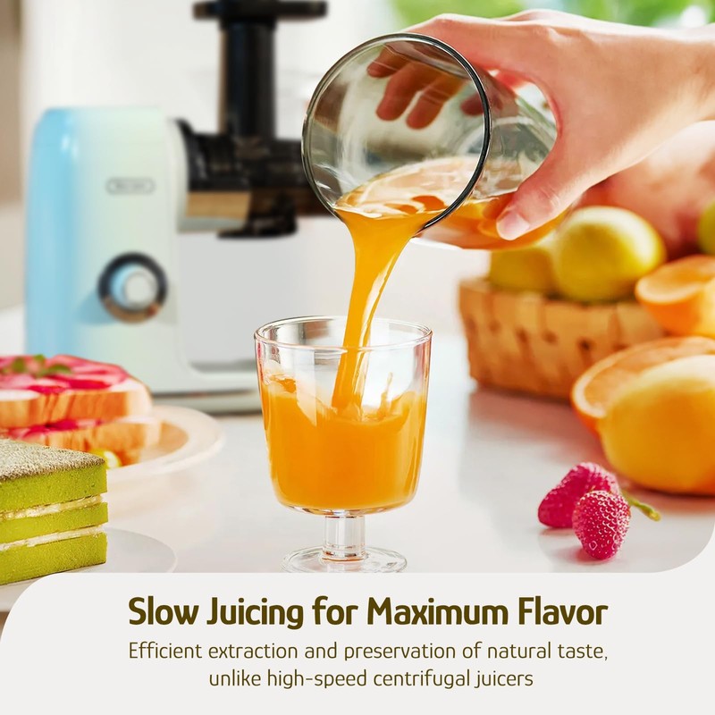 Hazel Quinn Masticating Juicer - Cold Press Slow Juicer for