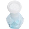 3Pcs PETG Flower Foam Bottle 300ml Mousse Pump Bottle Hand
