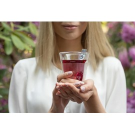 Bistrotea TPods 32 Tea Sticks Organic Black Tea Apple Cinnamon Individually Packed in Aroma Protection Envelopes Pack of 4 Each 32 per Variety = 128 Sticks