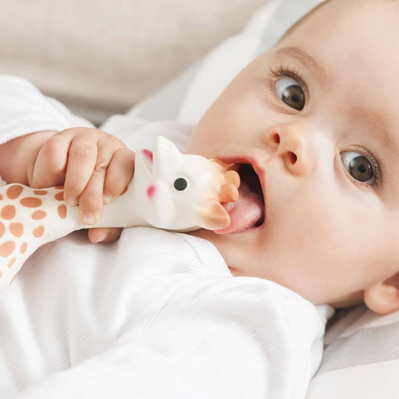 Sophie La Girafe, 1 Item