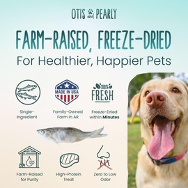 Otis & Pearly Freeze Dried Minnows Dog Treats, 2oz - Single Ingredient Dog Treat, Made in USA - Healthy Protein for Small, Medium, Large Breeds