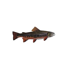 Realistic Brook Brown Trout Fish Fishing Enthusiasts Boating | Decal Vinyl Sticker | Cars Trucks Vans Walls Laptop | 2nd Amendment American enthusiasts Custom America Merica Flag