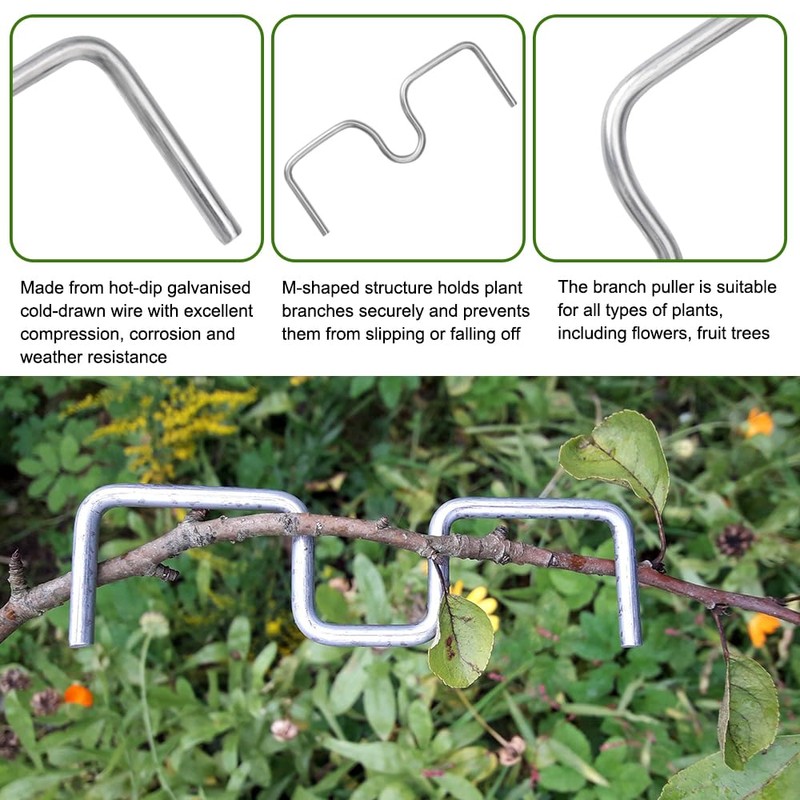 Pack of 30 Branch Supports for Fruit Trees, 13/10/8 cm