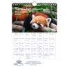 Tierzauber Small Panda Planner DIN A4 Calendar for 2026 Red