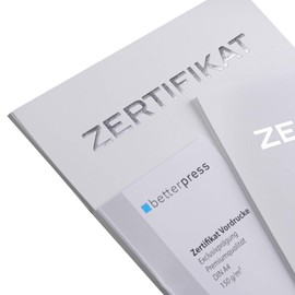 Betterpress 10 Sheets DIN A4, 150 g/m² Certificate Forms, Ideal for Certificates, Awards, Elegant Silver Embossed Printer Paper, Card Guarantee, White