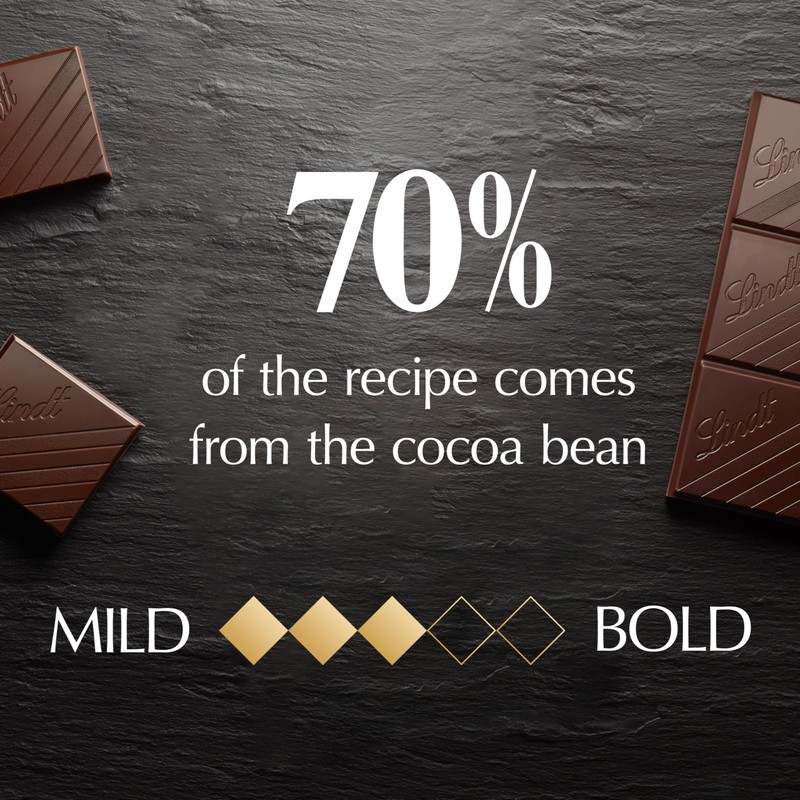 Lindt EXCELLENCE 70% Cocoa Dark Chocolate Bar, Dark Chocolate Candy,