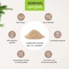 Cordyceps sinensis powder from 10:1 extract CS4-100 g, highly concentrated,