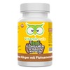 Organic psyllium husk capsules high dose - 700 mg -