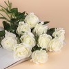 10 Rosas Artificiales de Seda Blanca, Tallo Largo para Hacer