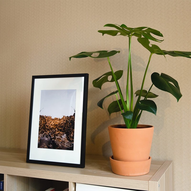 A4 Frame, Wooden A4 Picture Frame, Photo Frame Black with