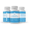 Pure Original Ingredients Calcium Carbonate, (100 Capsules) Always Pure, No