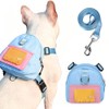 Mochila para Perro Impermeable, Arnés de Perro con Correa |