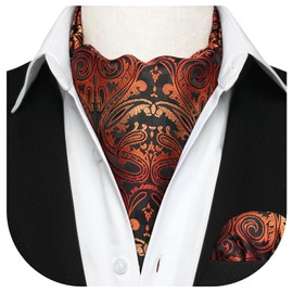 HISDERN Men's Tie Scarf Wedding Dot Neckerchief Paisley Business Ascot Tie and Pocket Square Set, Gold / Paisley