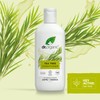 Dr. Organic Tea Tree Conditioner, Cleansing, Oily Roots & Scalp,