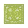 Serpe Cast Dream No Worries Scarf Light Green