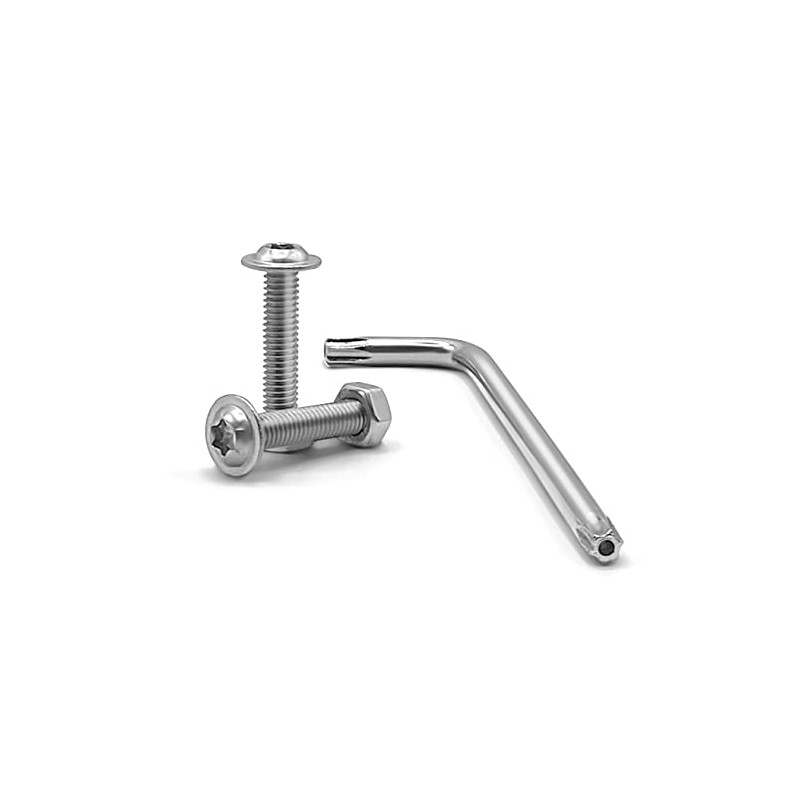 Rounded Head Screws with Flange TORXM6 (M6 x 60)