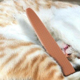 Tongue-Shaped Hypoallergenic Cat Grooming Brush for Comfortable Grooming Brush 5ea