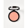 Technic Matte Blusher - Peachy