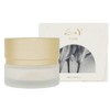 KOY Solid Volume Core Cream 50ml / 코이 KOY 솔리드 볼륨 코어 크림 50ml