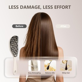 Boar Bristle Hair Brush, Curved Vented Brush for Wet Dry Hair