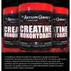 Creatina Alta Puresa Insane Labz Polvo 60servicios Bote Sin Sabor