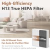 XBWW 2 Packs Replacement Filter Compatible with Blueair Blue Pure