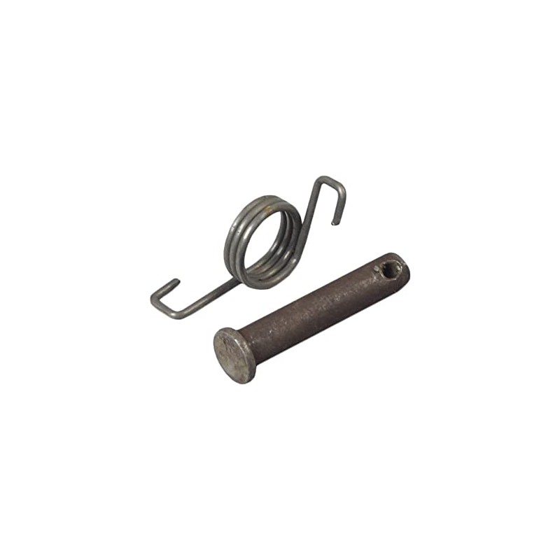 AlveyTech Foot Peg for Dirt Bikes, Mini Bikes, & Scooters