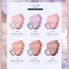 Flower knows Crystal Unicorn Series Cheek Blush (04-HoneyLemonade)