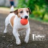 Jeffers Pet Natural Rubber Dog Chew Toy – Red Bouncing
