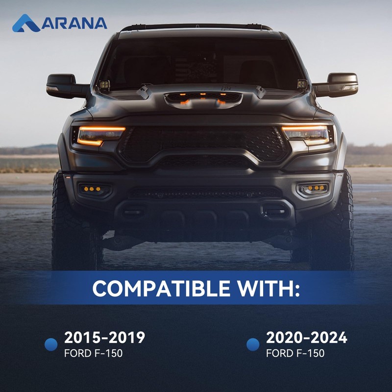 ARANA Tailgate Assist Shock for Ford F150, 2015-2025 Tail Gate