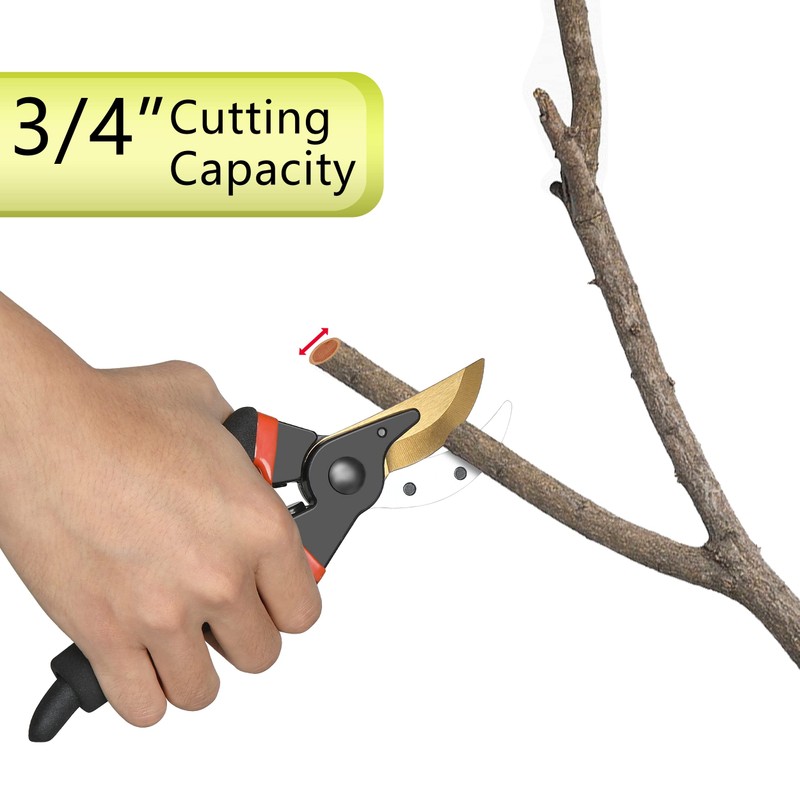 5 pack Garden Pruning Shears Stainless Steel Blades, Handheld Scissors