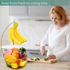DIYZON Countertop Fruit Basket Bowl with Banana Hanger, Modern Standing