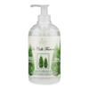 Stainless Reisern Dante The Parcels Florentine Cypress Liquid Soap 500 ml