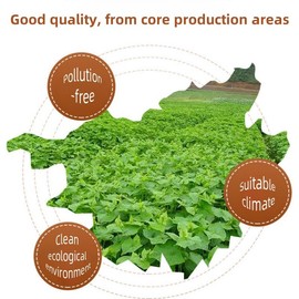 JINQI 2bottles Yellow Buckwheat Tea- 黄苦荞茶9.87oz/280g(4.93oz/140g*2) Tartary Buckwheat, Strong Flavor, Holiday Gifts, Tea Gifts