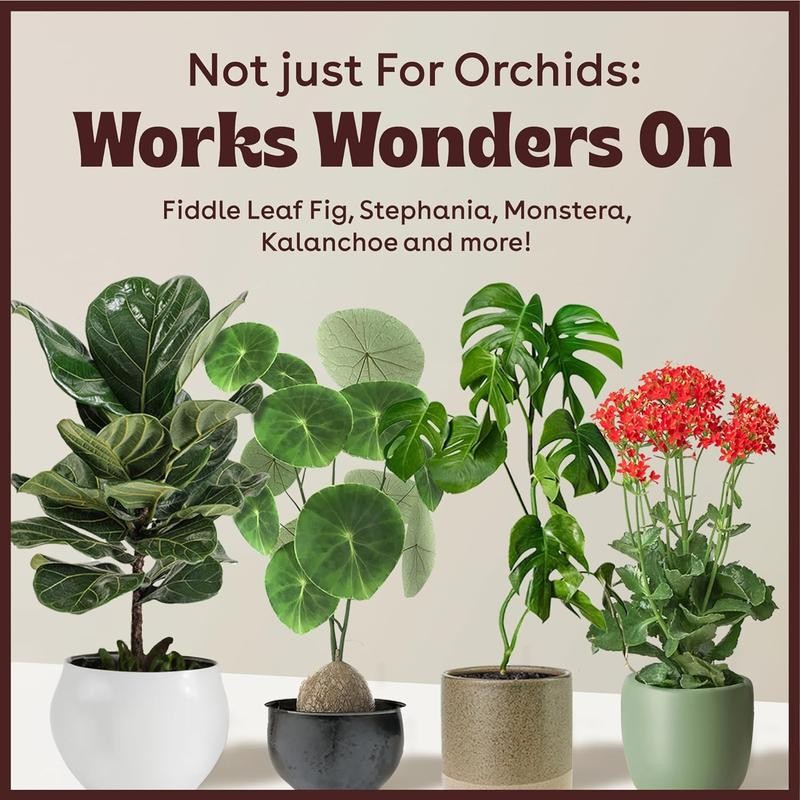 Berkland Orchid Keiki Paste for Plants to Clone & Create