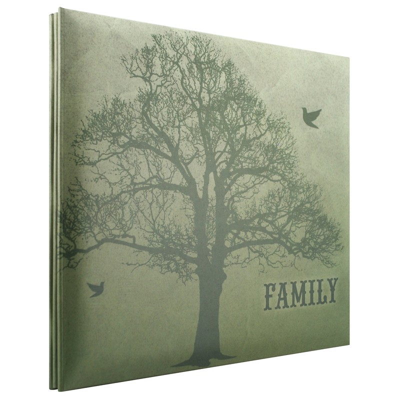 MBI 860094 Expressions Collection Family Expandable Scrapbook Pages, 12 x