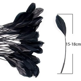 FEARAFTS Natural Black Feathers for Hats Making Fascinators Decoration Stripped Coque Feather Pack of 50 (Black)