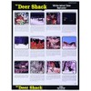 Whitetail Deer Behavior Guide Poster