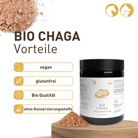 Pilze Wohlrab - Organic Chaga Mushroom Powder for Animals - 300 g - Chaga Powder Microfine - Horses - Highest Organic Quality