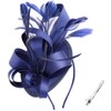 DRESHOW Fascinators Royal Banquet Ribbons Feathers Headwear Cocktail Tea Party