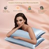 Revdomfly Satin Pillowcase 2 Pack, Cooling Pillow Cases, Soft Pillow