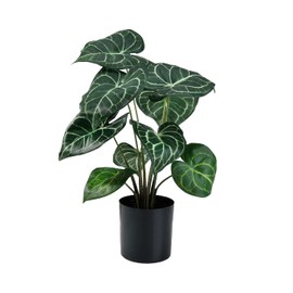 Serene Spaces Living Artificial Anthurium Plant in Black Pot, Lifelike House Plant for Balcony, Living Room, Kitchen, Office, Patio, Bedroom, Entranceway, Gift Idea, 12" Diameter & 15" Tall