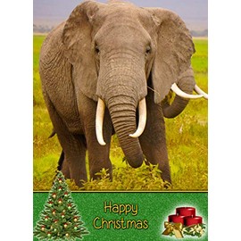 Elephant Christmas Card 'Happy Christmas' - Special Xmas Card for Him Her Kids Male Female