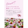 ARGITAL Intensive Echinacea Cream, Mini, 0.3 fl oz (10 ml)