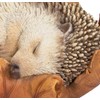 Vivid Arts Baby Hedgehog in Leaf Highly Detailed Home or